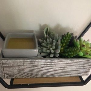 Scentsy succulent element warmer